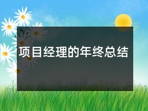 項目經(jīng)理的年終總結(jié)
