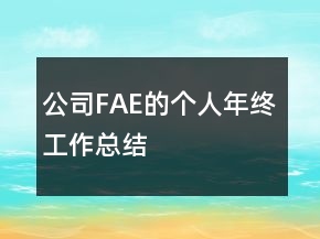 公司FAE的個人年終工作總結(jié)