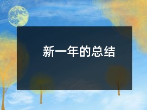 新一年的總結(jié)