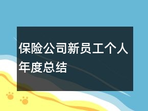 保險(xiǎn)公司新員工個(gè)人年度總結(jié)