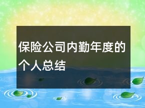 保險(xiǎn)公司內(nèi)勤年度的個(gè)人總結(jié)