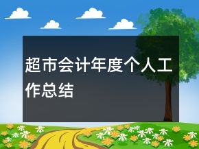 超市會計(jì)年度個(gè)人工作總結(jié)