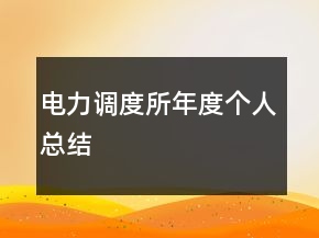電力調度所年度個人總結