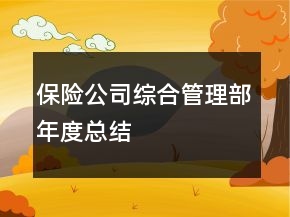保險公司綜合管理部年度總結(jié)