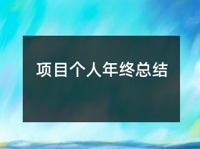 項目個人年終總結