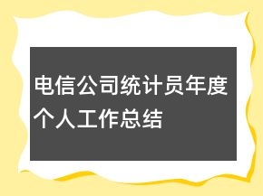 電信公司統(tǒng)計員年度個人工作總結