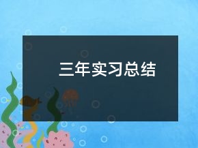 三年實習總結