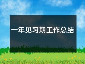 一年見(jiàn)習(xí)期工作總結(jié)