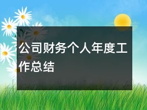 公司財務個人年度工作總結(jié)