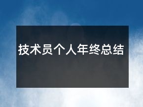 技術(shù)員個人年終總結(jié)