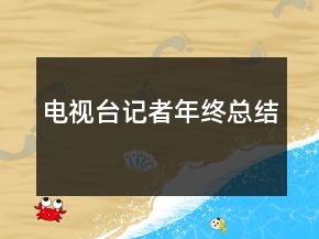 電視臺記者年終總結(jié)