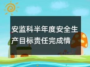 安監(jiān)科半年度安全生產(chǎn)目標責任完成情況總結