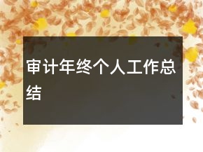 審計年終個人工作總結(jié)