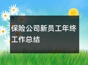 保險公司新員工年終工作總結