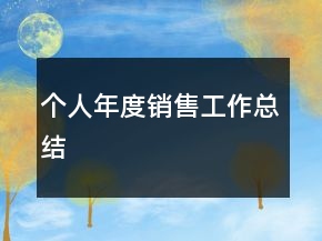 個人年度銷售工作總結(jié)