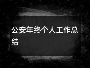 公安年終個(gè)人工作總結(jié)