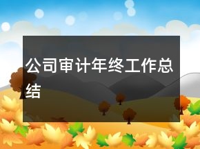 公司審計年終工作總結