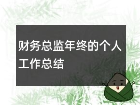 財務(wù)總監(jiān)年終的個人工作總結(jié)