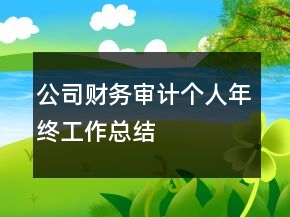 公司財務(wù)審計個人年終工作總結(jié)