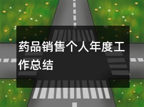 藥品銷售個(gè)人年度工作總結(jié)