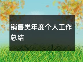 銷售類年度個人工作總結(jié)
