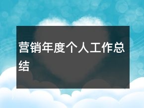 營(yíng)銷年度個(gè)人工作總結(jié)