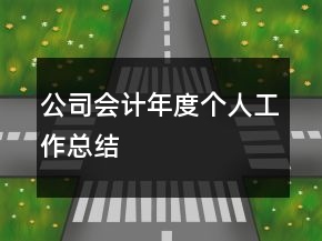 公司會(huì)計(jì)年度個(gè)人工作總結(jié)