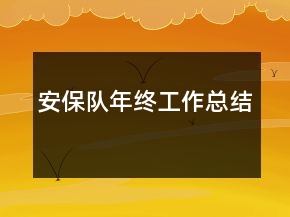 安保隊(duì)年終工作總結(jié)