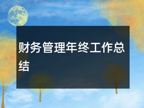財(cái)務(wù)管理年終工作總結(jié)