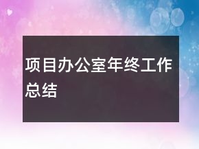項目辦公室年終工作總結(jié)