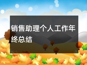 銷售助理個人工作年終總結(jié)
