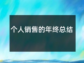 個(gè)人銷售的年終總結(jié)