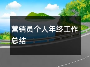 營銷員個人年終工作總結(jié)