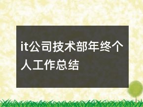 it公司技術(shù)部年終個(gè)人工作總結(jié)