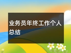 業(yè)務(wù)員年終工作個人總結(jié)