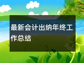 最新會計出納年終工作總結(jié)