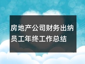 房地產(chǎn)公司財務(wù)出納員工年終工作總結(jié)