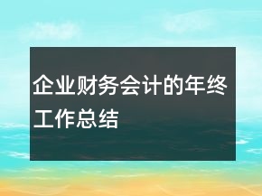 企業(yè)財(cái)務(wù)會計(jì)的年終工作總結(jié)