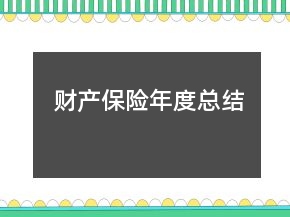 財產保險年度總結