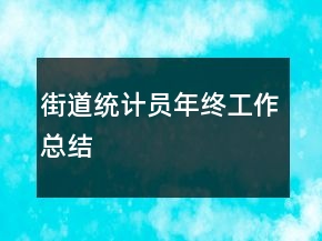 街道統(tǒng)計(jì)員年終工作總結(jié)