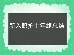新入職護(hù)士年終總結(jié)