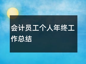 會(huì)計(jì)員工個(gè)人年終工作總結(jié)