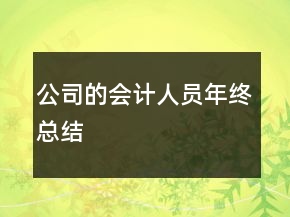 公司的會(huì)計(jì)人員年終總結(jié)