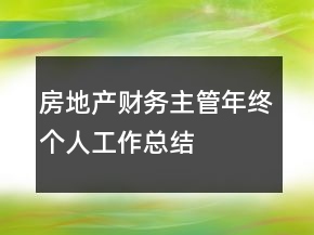 房地產(chǎn)財(cái)務(wù)主管年終個(gè)人工作總結(jié)