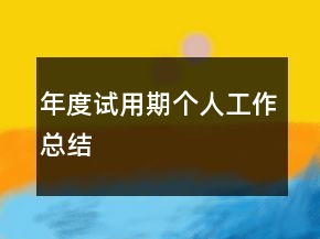 年度試用期個人工作總結(jié)
