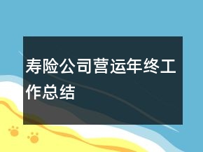 壽險(xiǎn)公司營(yíng)運(yùn)年終工作總結(jié)