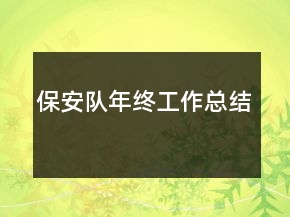 保安隊(duì)年終工作總結(jié)