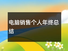 電腦銷售個(gè)人年終總結(jié)