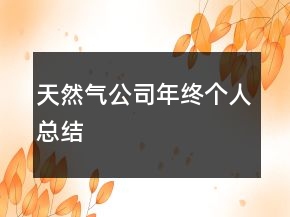 天然氣公司年終個(gè)人總結(jié)