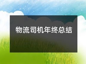 物流司機年終總結(jié)